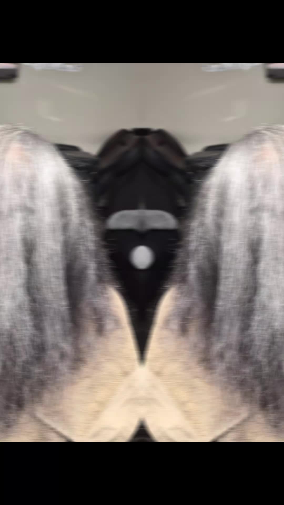 @Nikki's Hair Studio llc