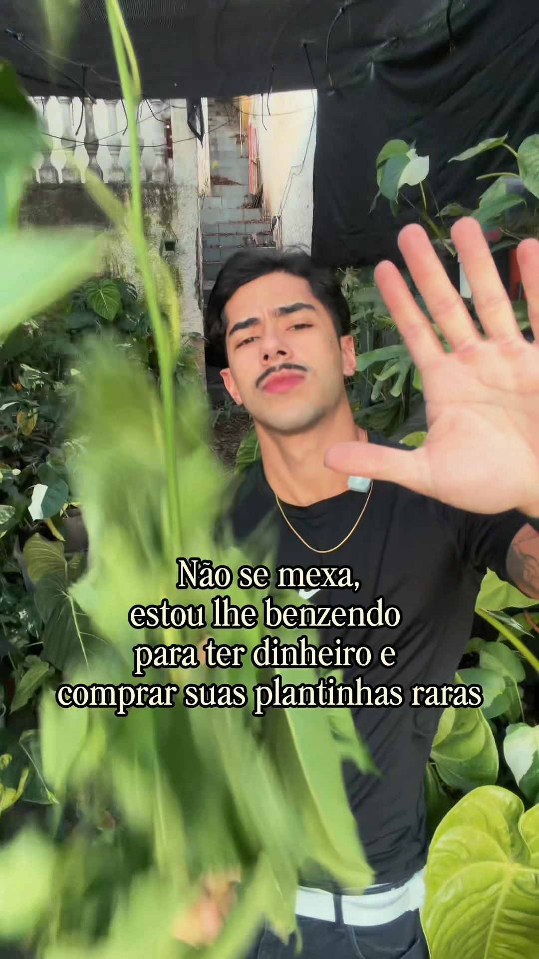 @Otávio Pichirillo