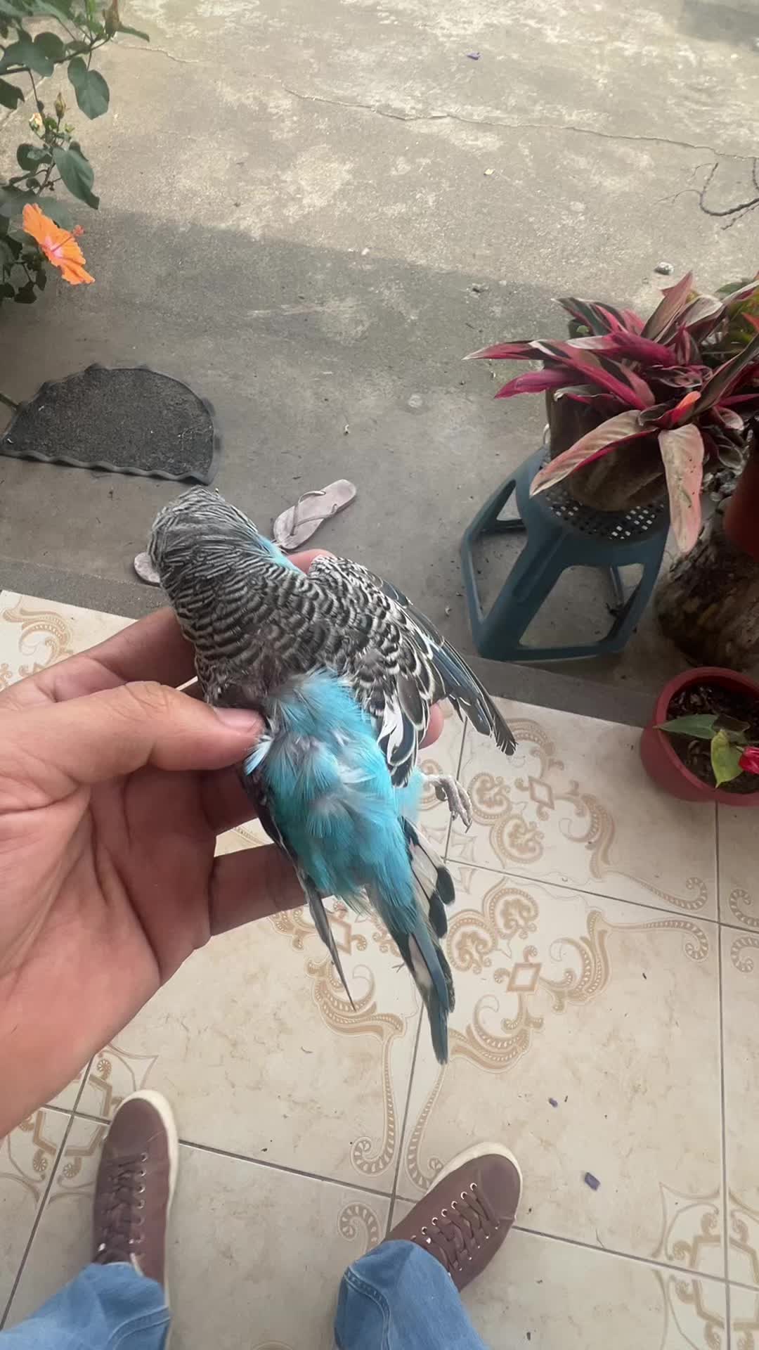 @Paúl