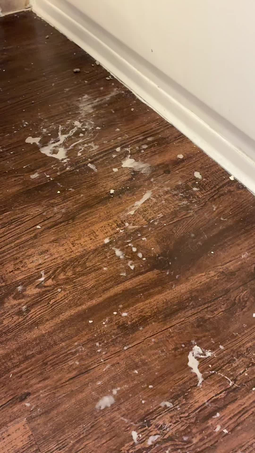 @Robin 🫧 🧼