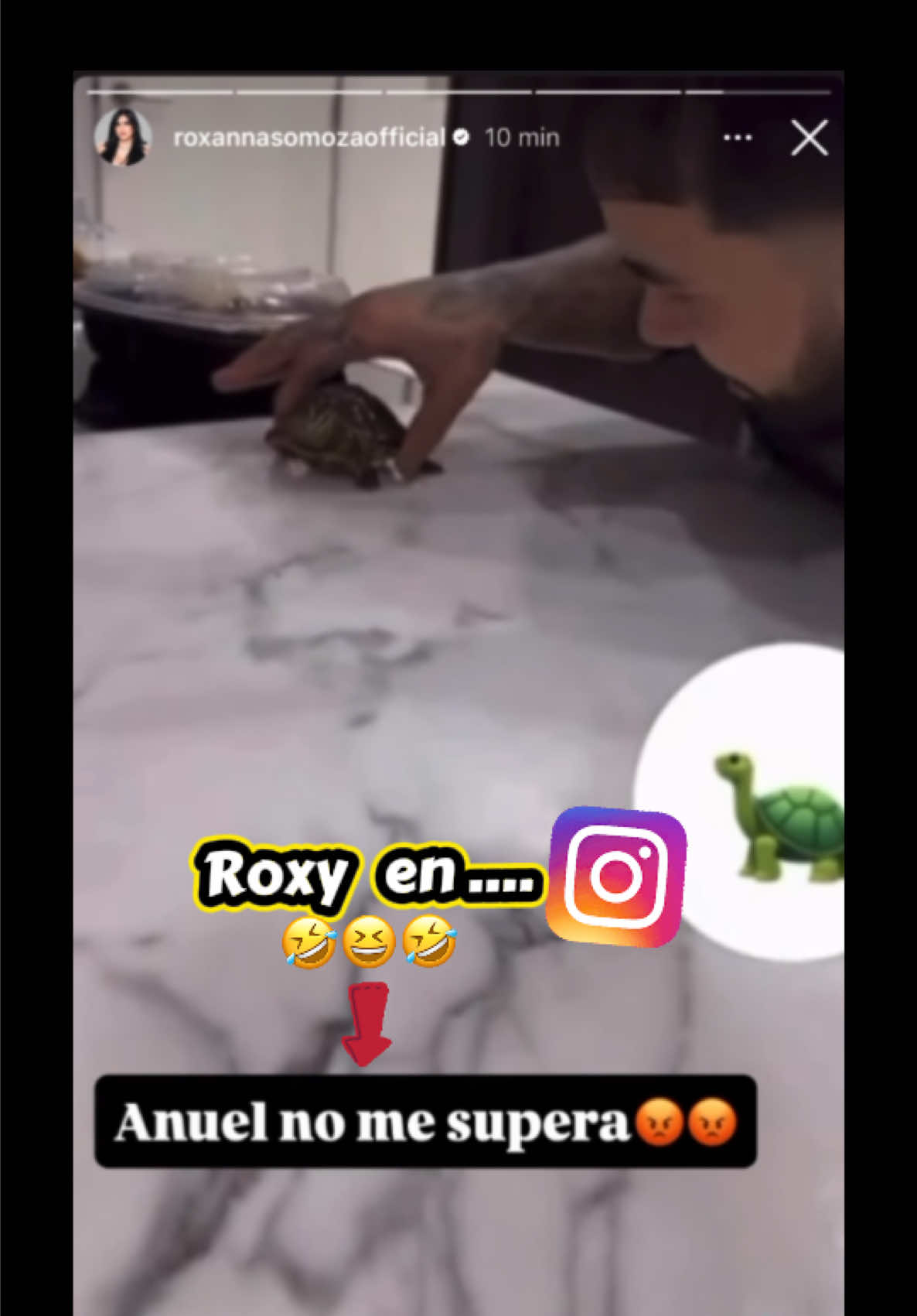 @Eva🌹 ⚜️🐢