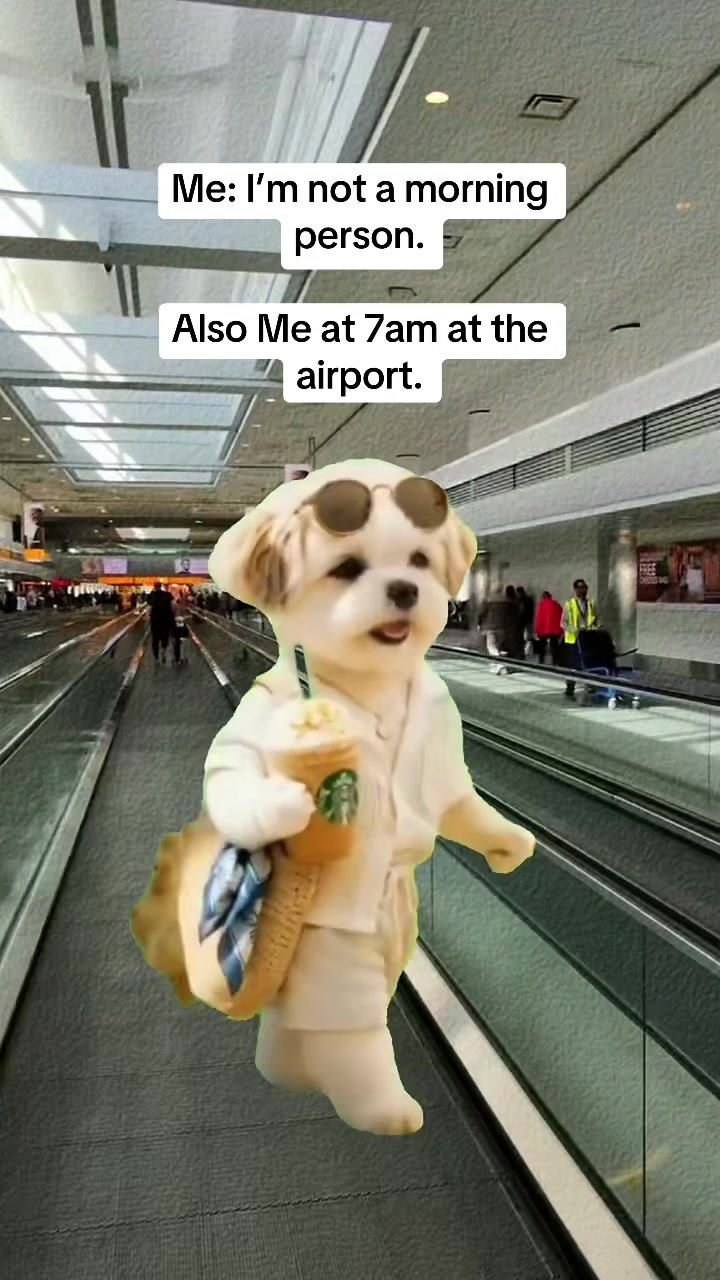 @꧁ 𝓕𝓻𝓪𝓷𝓬𝓱𝓮𝓼𝓬𝓪 ꧂