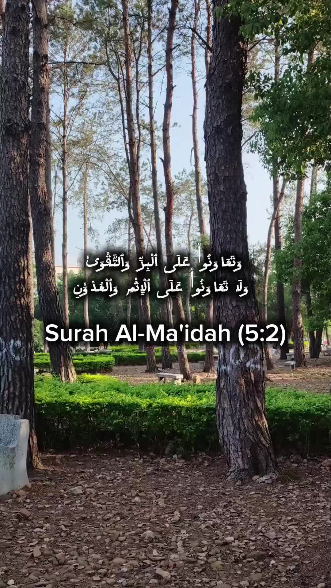@Amjad