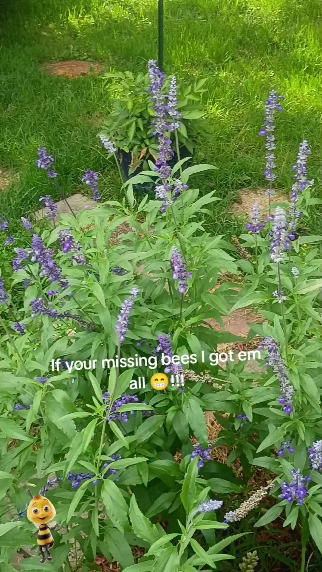 @O.G.