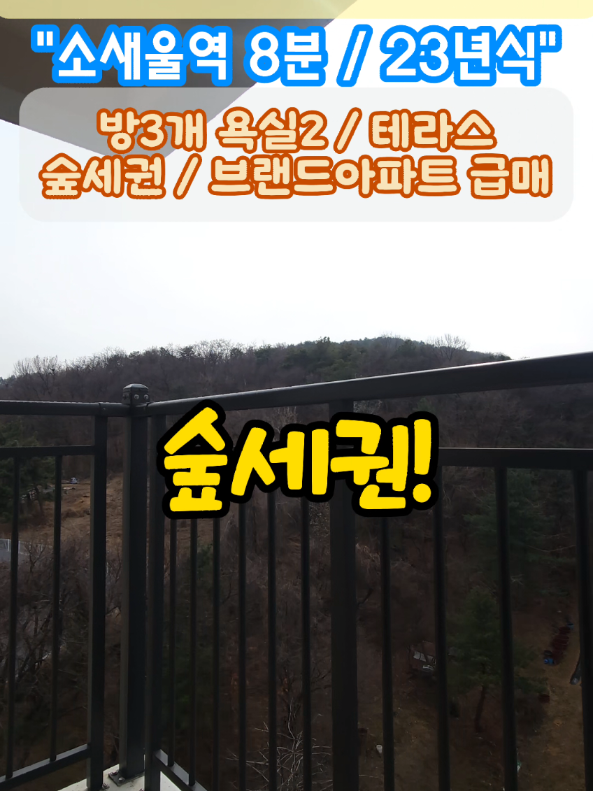 @스카이복덕방