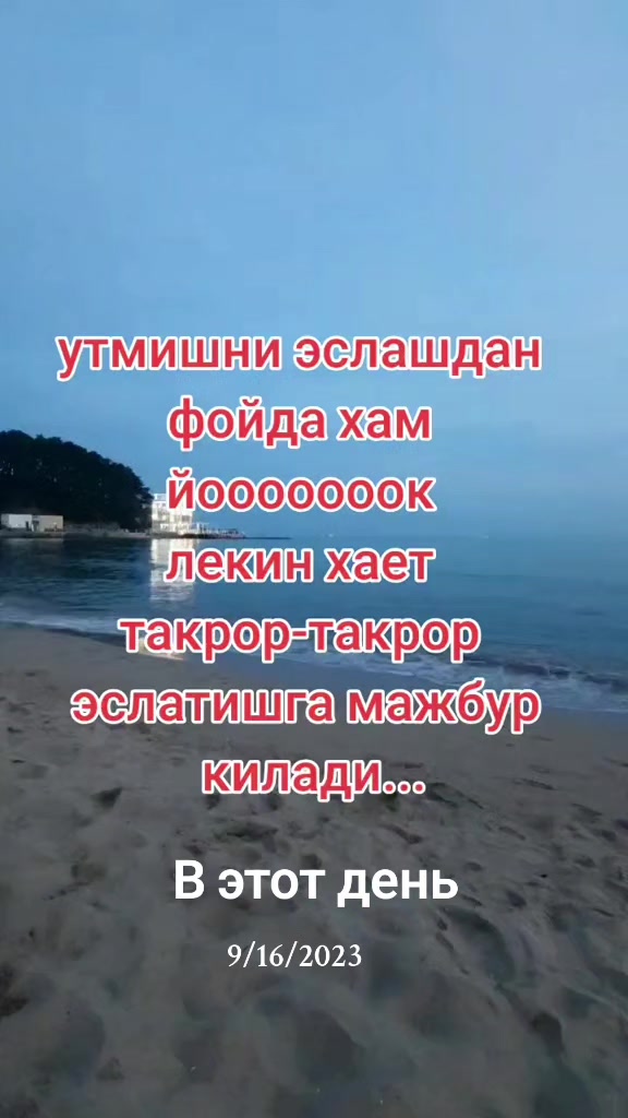 @shoira2281