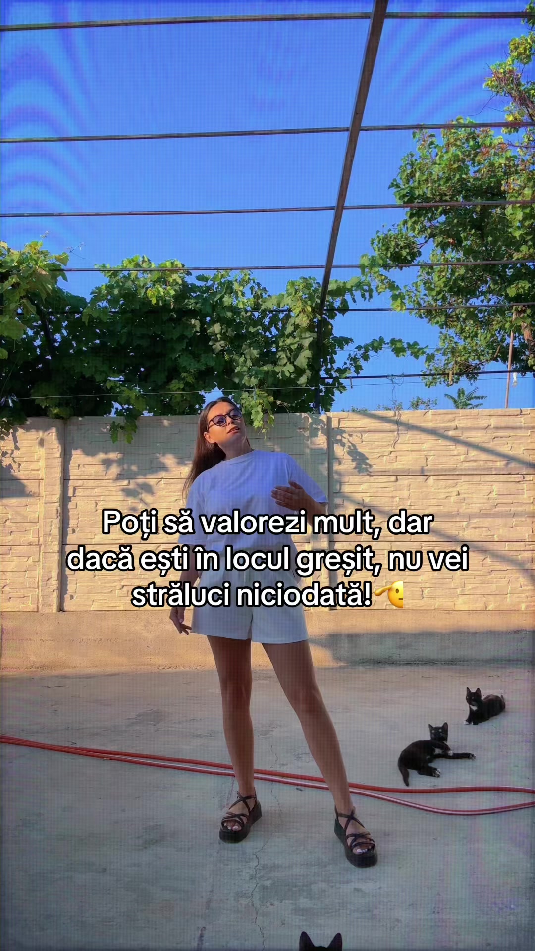 @Dalia👑