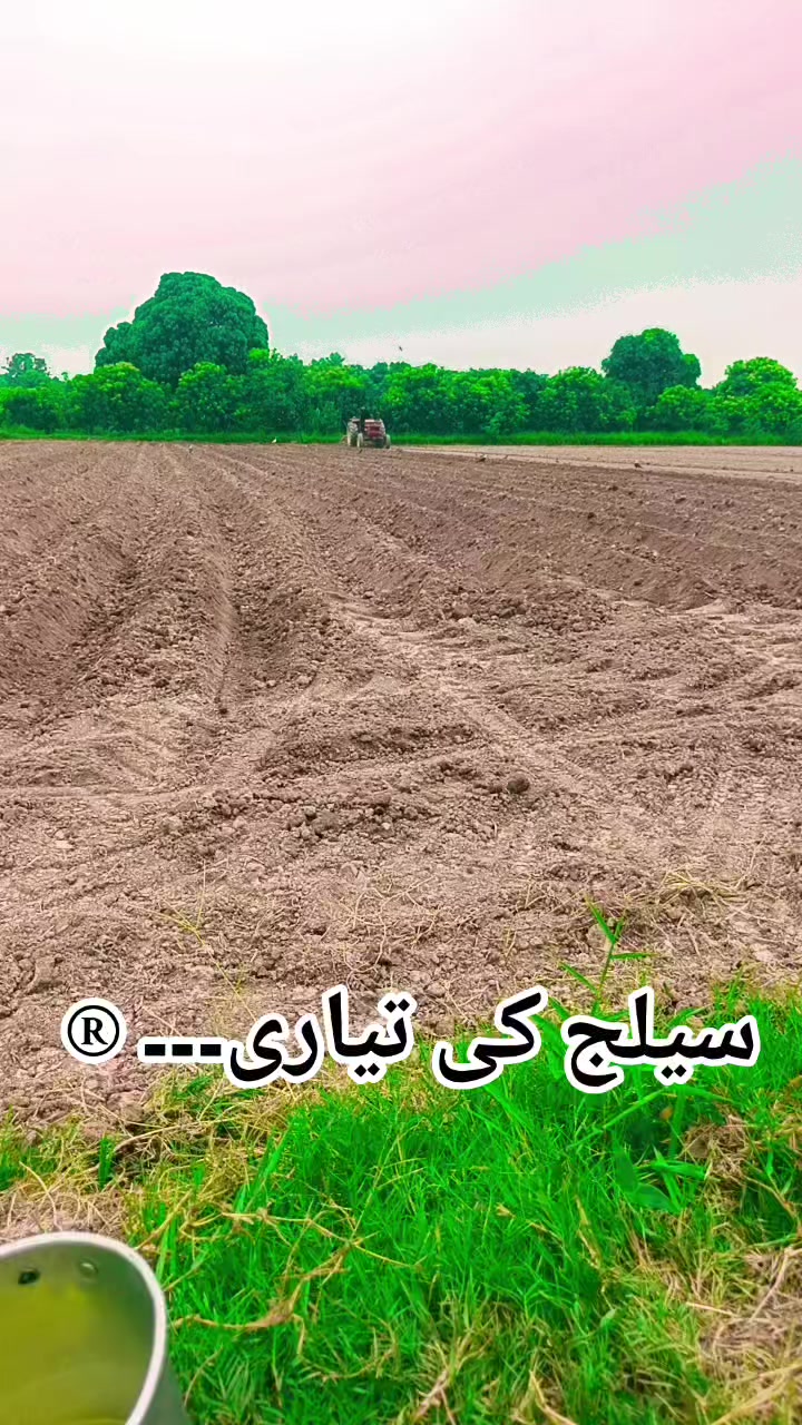@Dr Mohammad Raza Kachala
