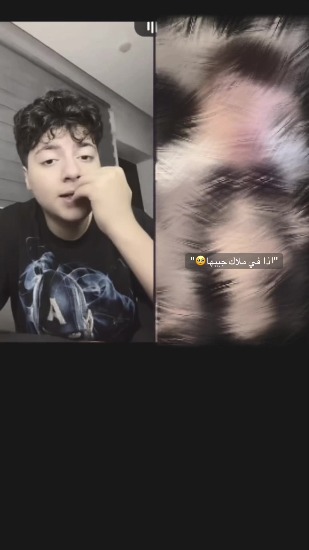 @شَهَد