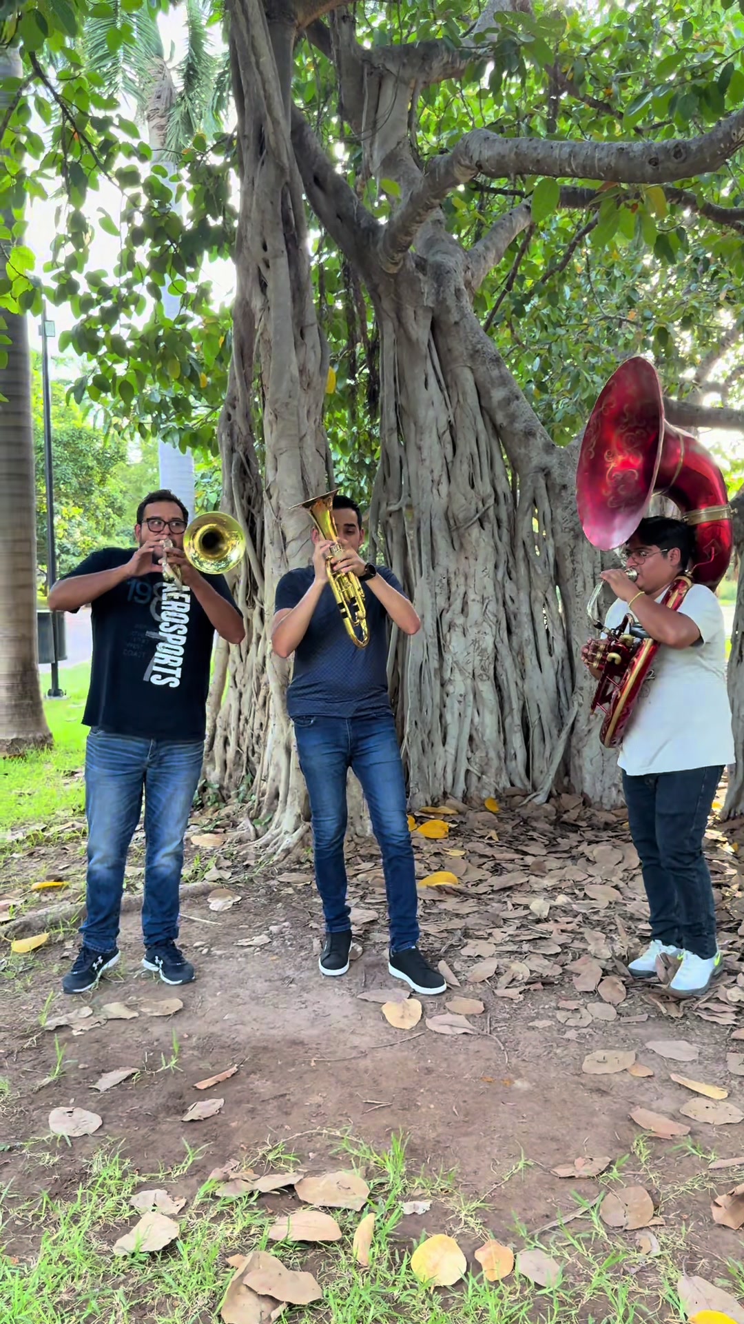 @Banda Renovaci&oacute;n
