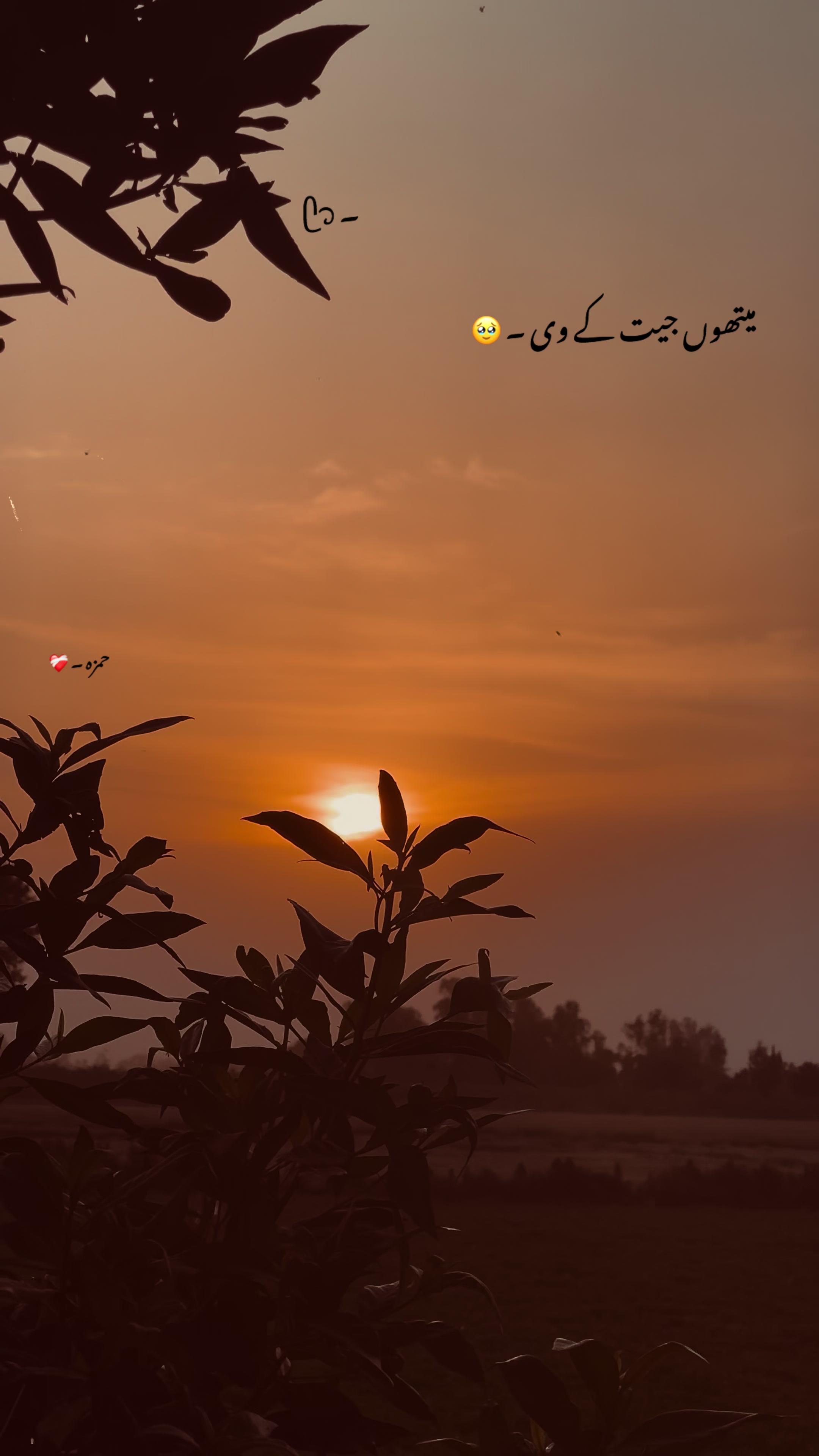@حمزہ < ❤️&zwj;🩹