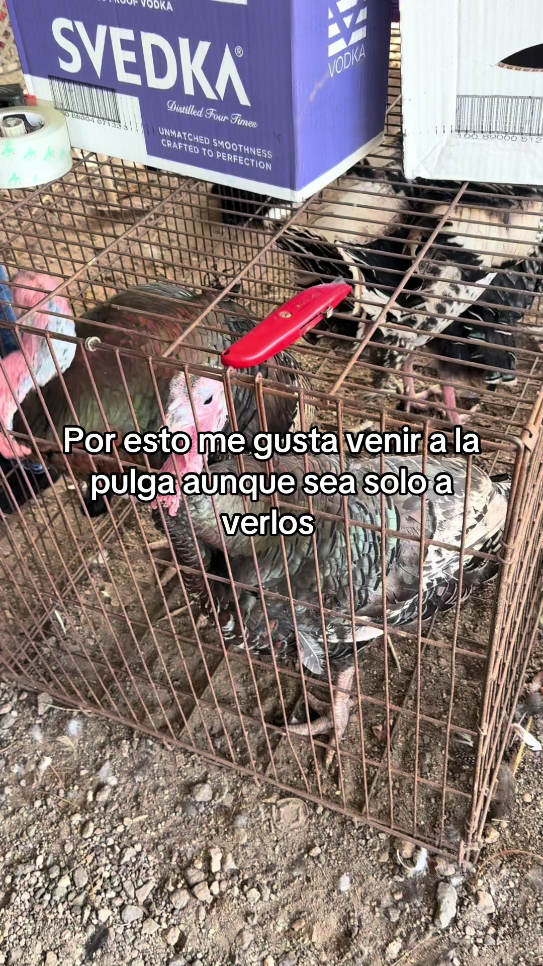 @el pay