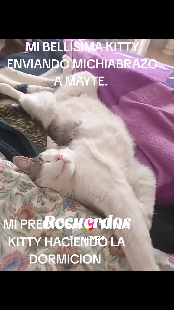 @minyna102