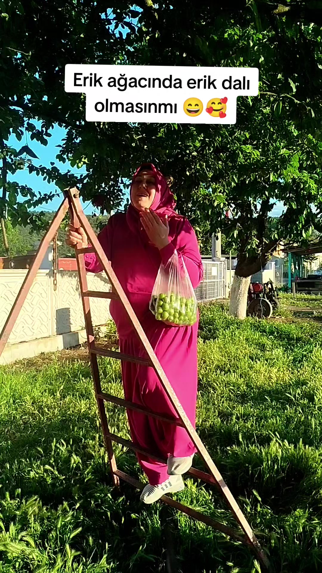 @AYŞEN ALP