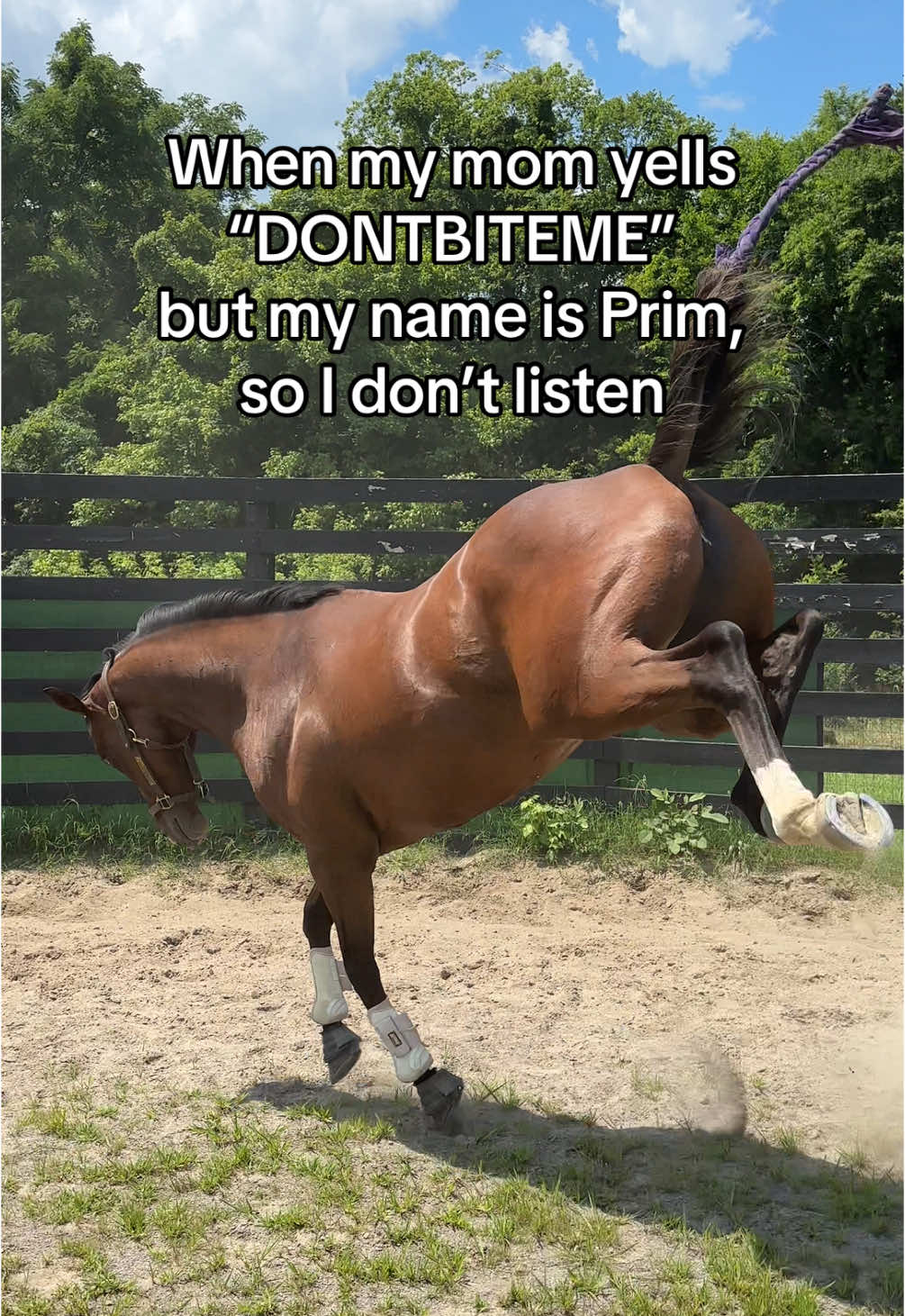 @C <3