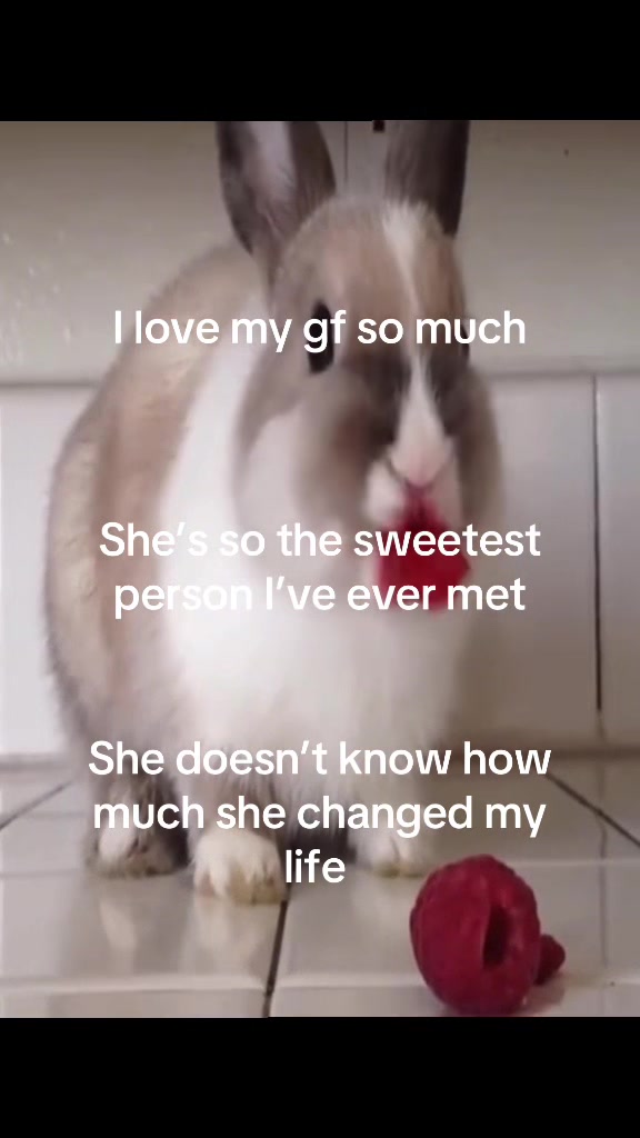 @𝙿𝚑𝚒𝚕𝚘𝚗𝚎𝚌𝚛𝚘𝚗 𐂯 .ᐟ⸝⸝