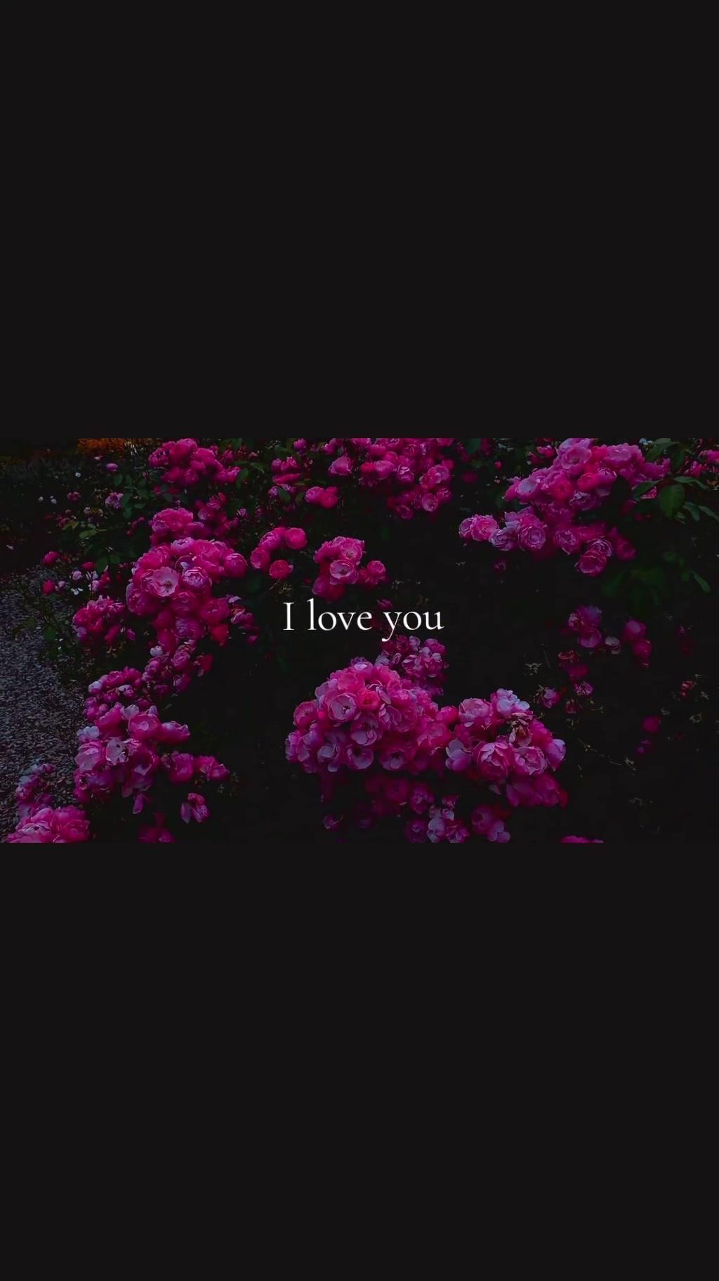 @T