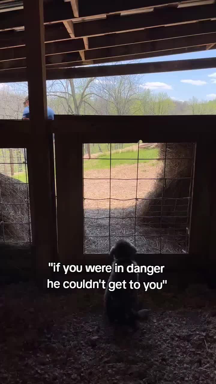 @em