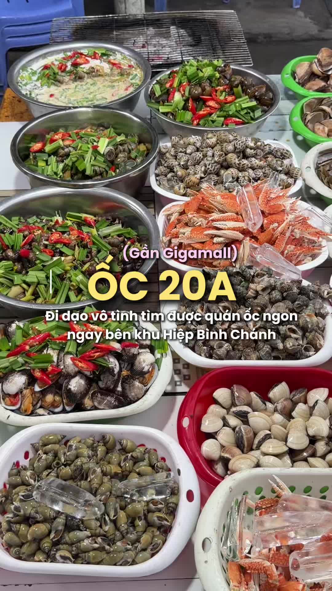 @R&ugrave;a Linh Cảm 🐢