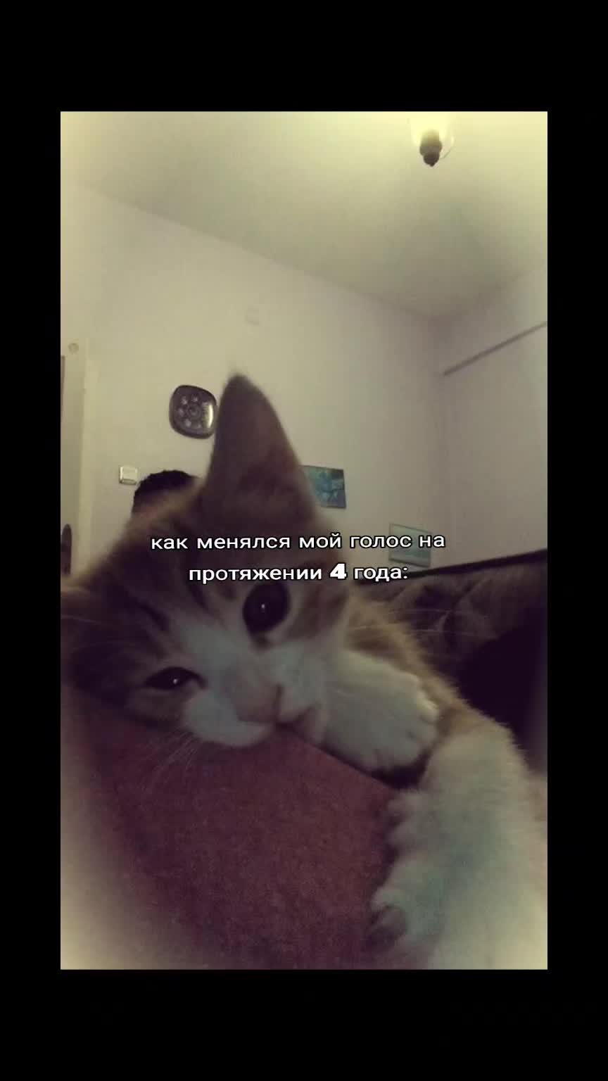 @сафиша
