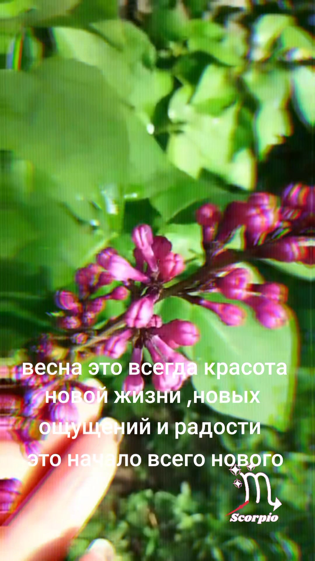 @Anush