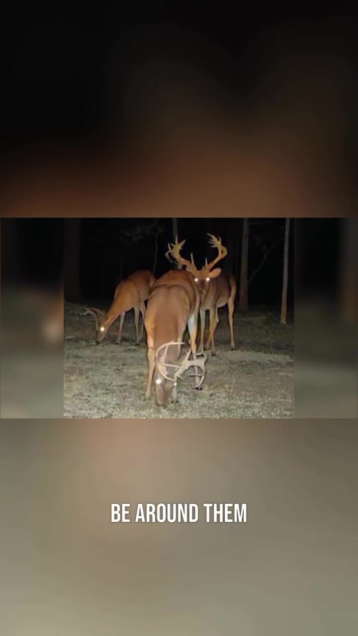 @Buckmasters Outdoors