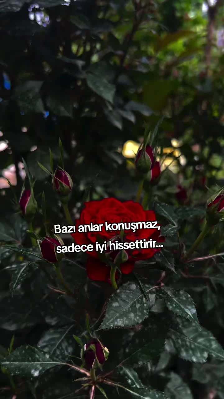 @kyplrdym