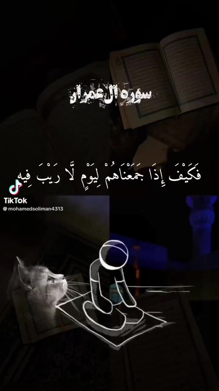 @الاسسسود ابوسند