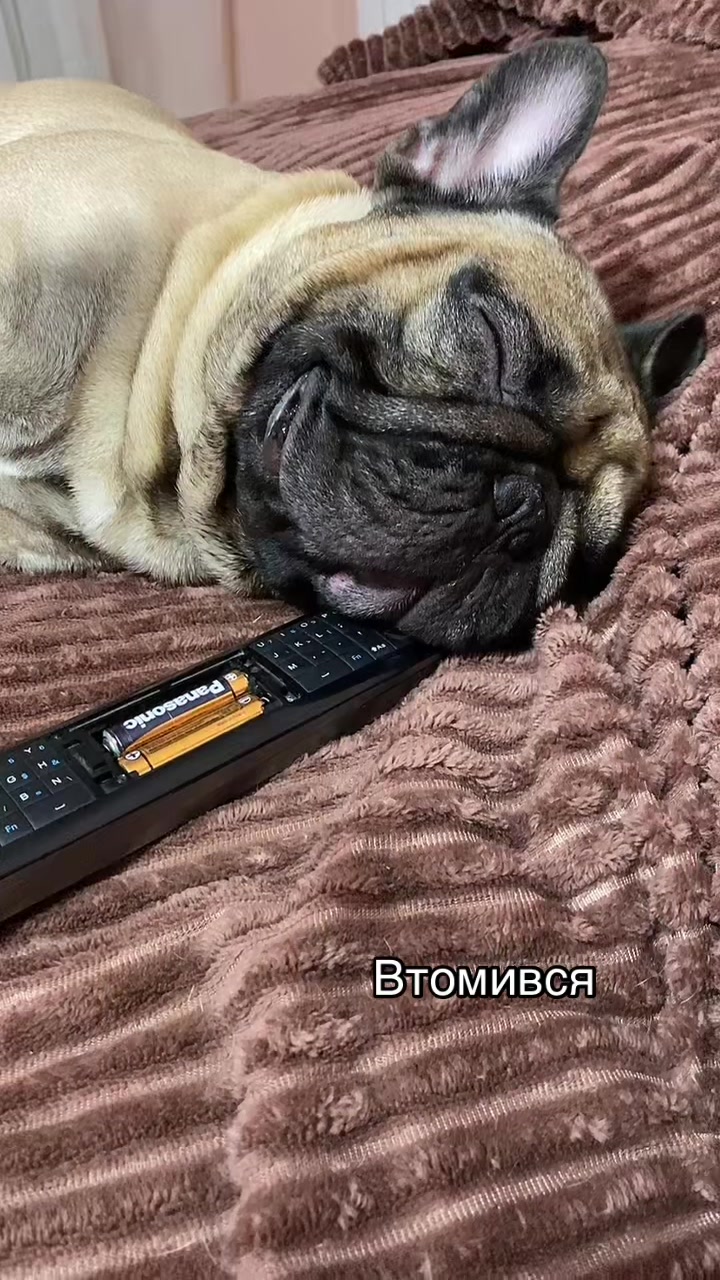 @_holly_bulls_