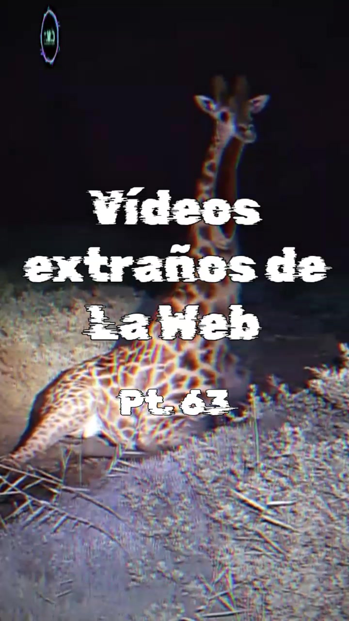 @Categorías Máster