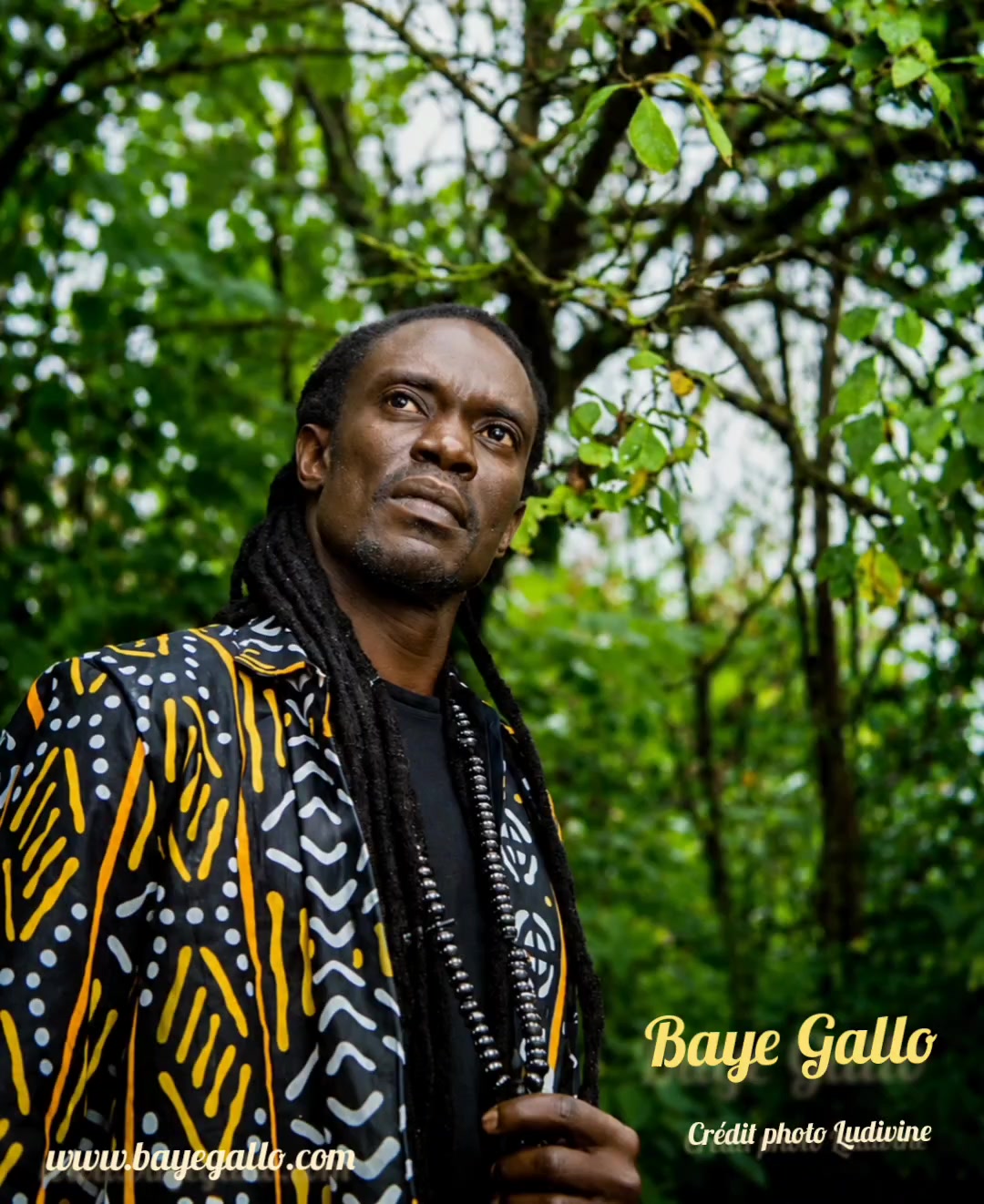 @Baye Gallo