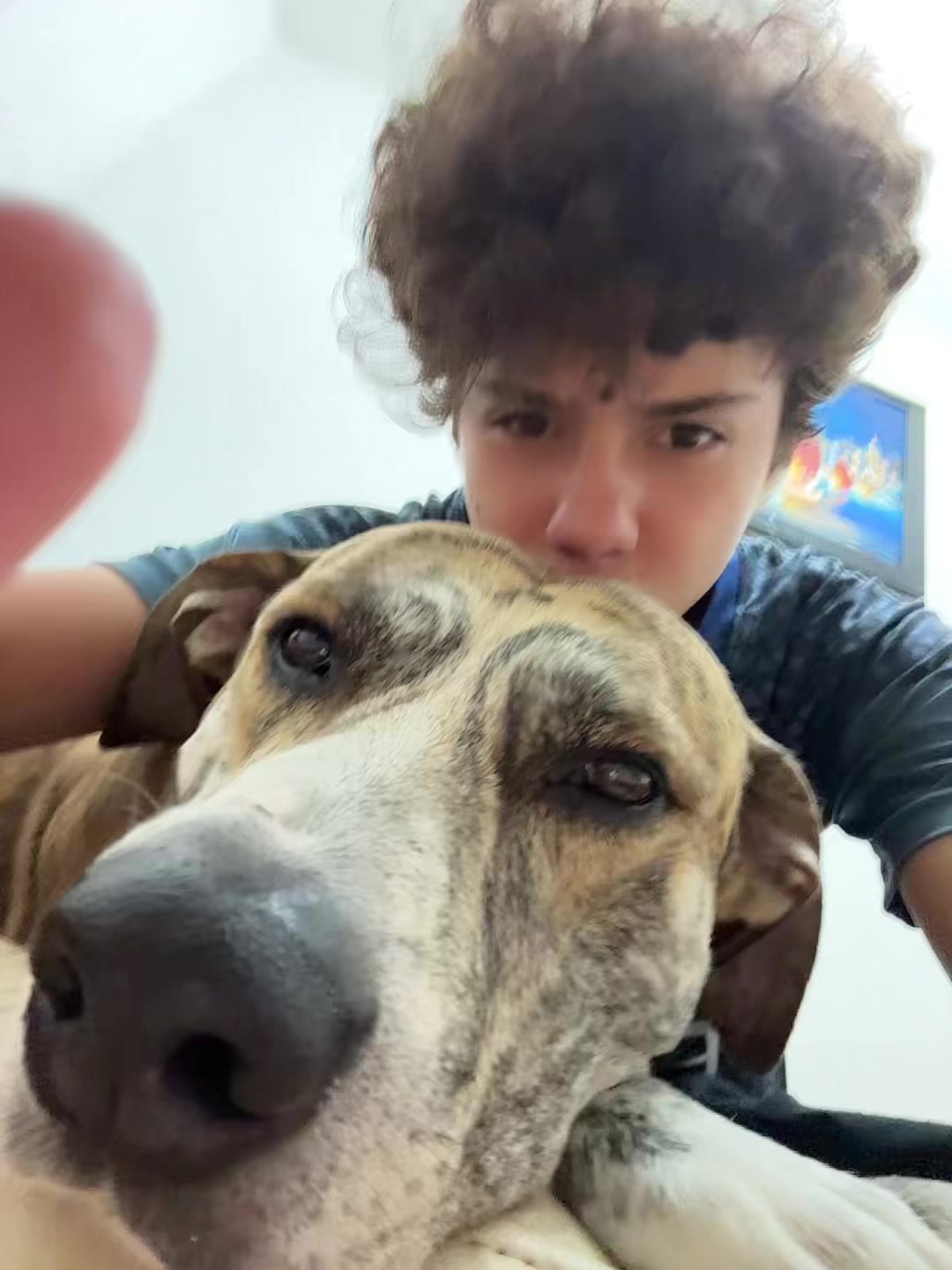 @ikervenegasss