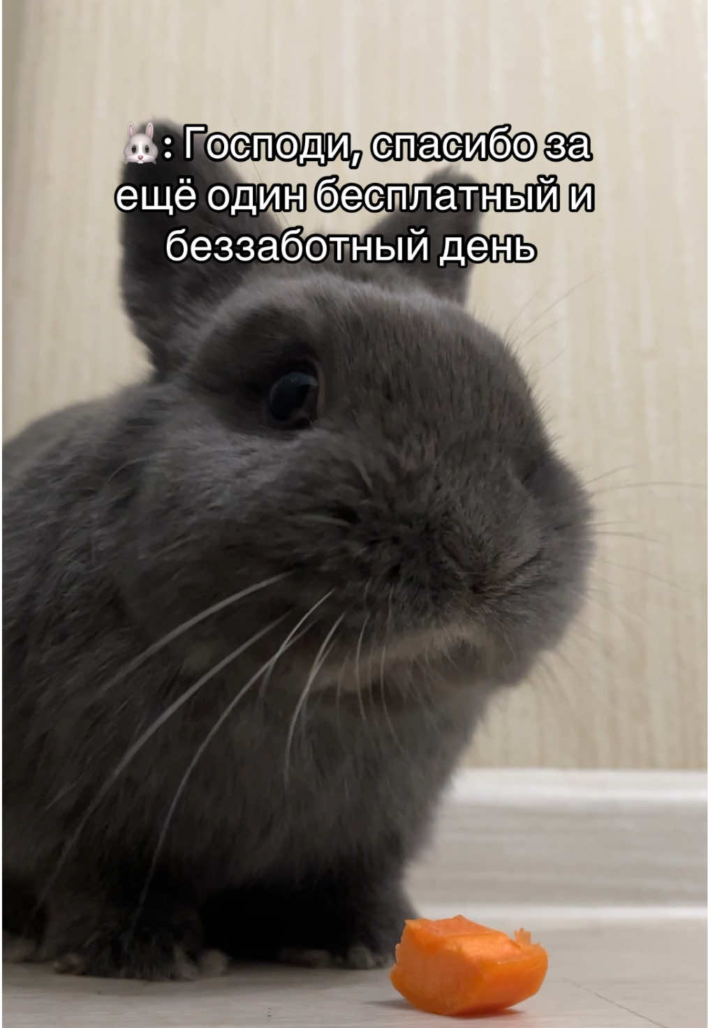 @Пусик