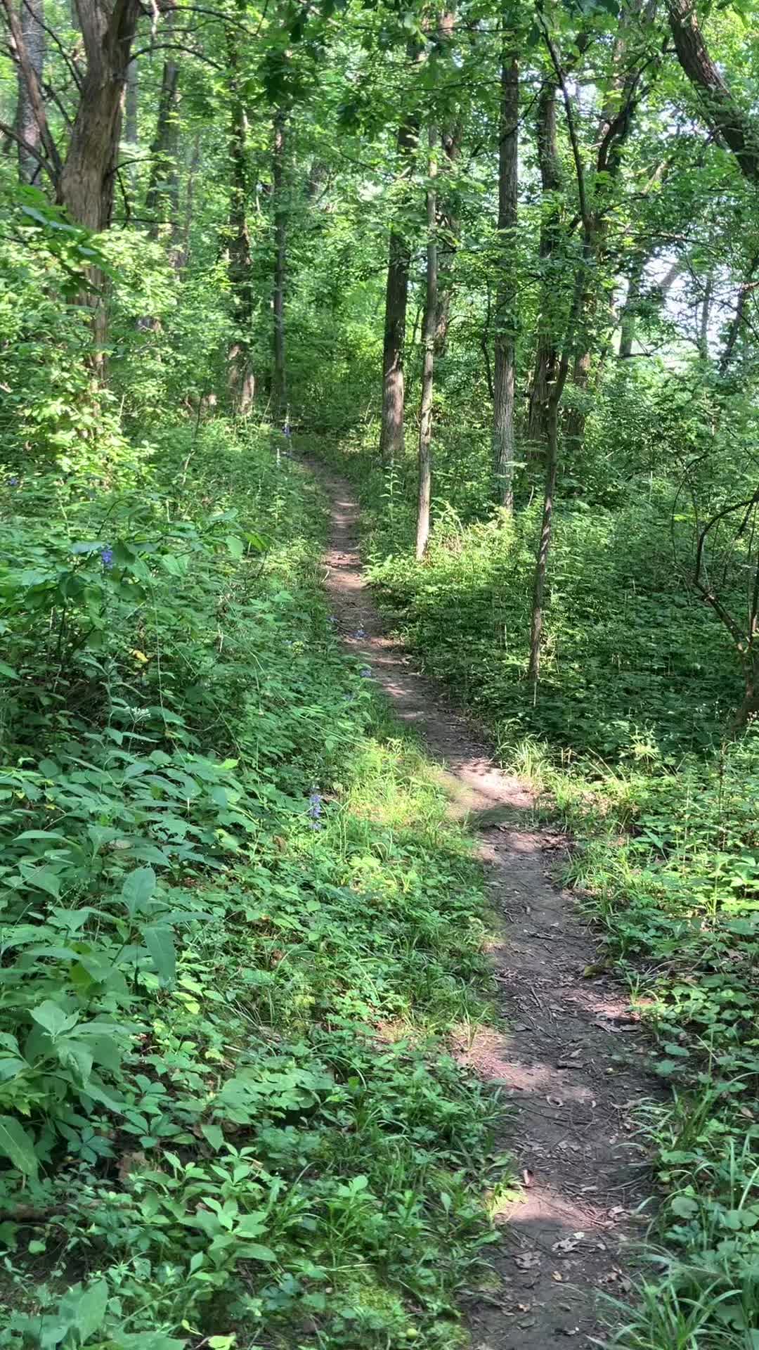 @Hikingwithstanley