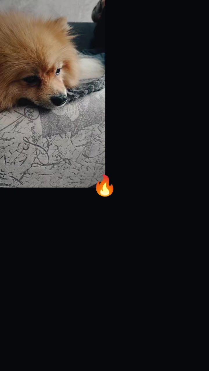 @❤️❤️❤️❤️❤️НаталиЯ ❤️❤️❤️❤️❤️