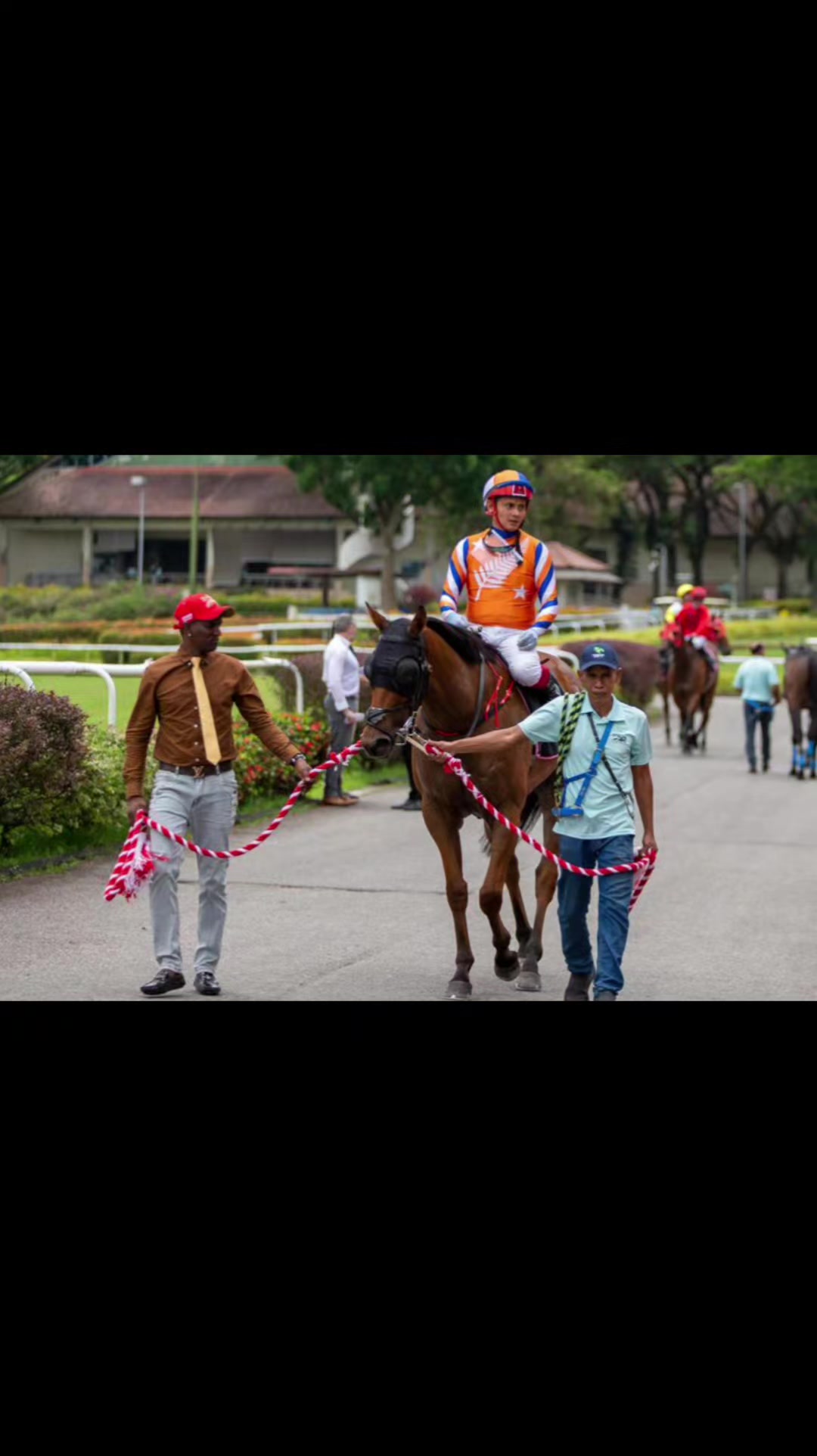 @kevin 🏆🏇🏇🏇🏆 🇸🇬🇲🇾🇳🇿