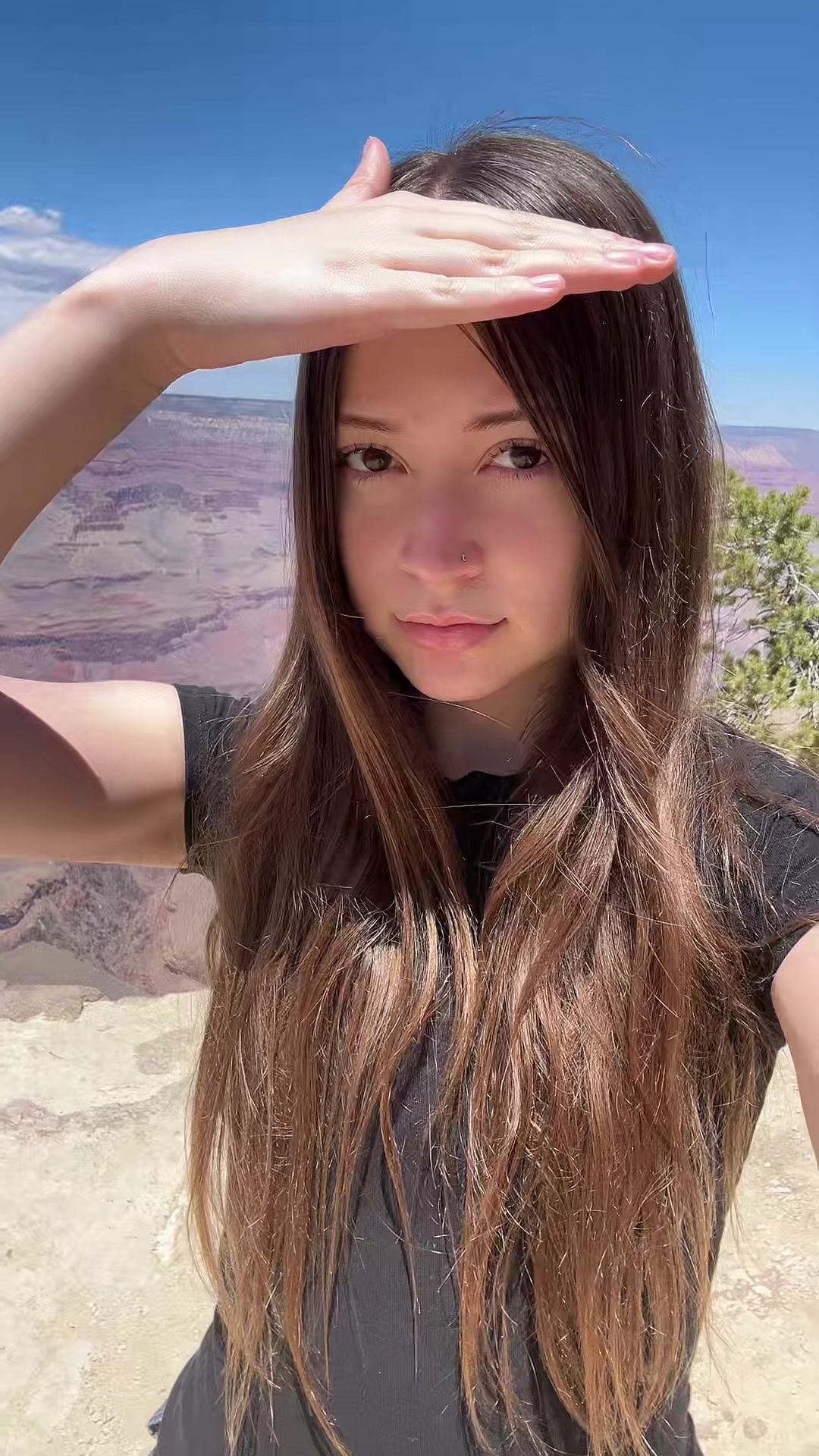 @halofaded