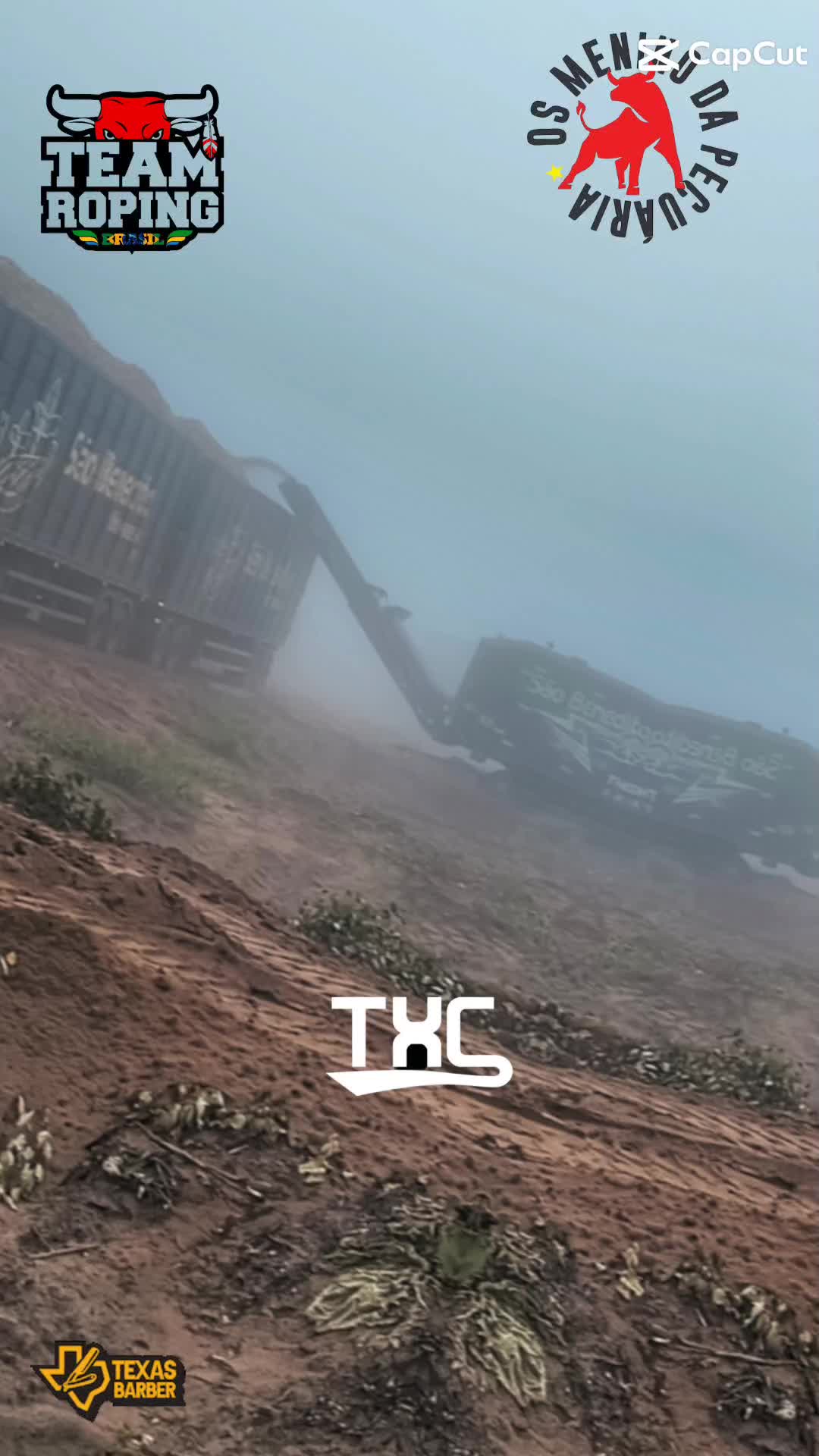 @Thales Almeida 🦾🌲