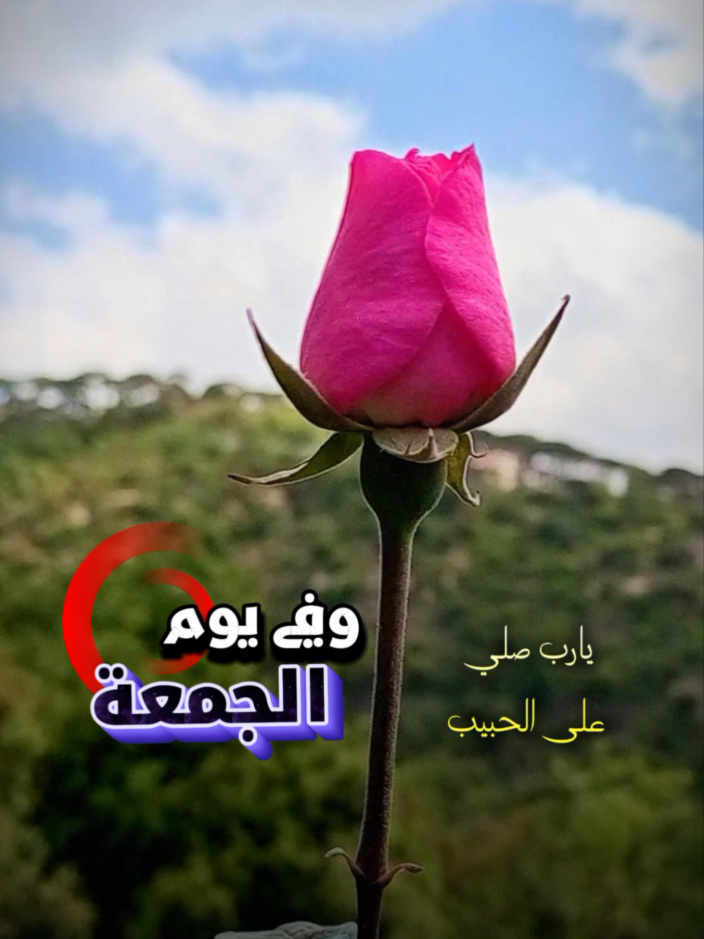 @lavendr81