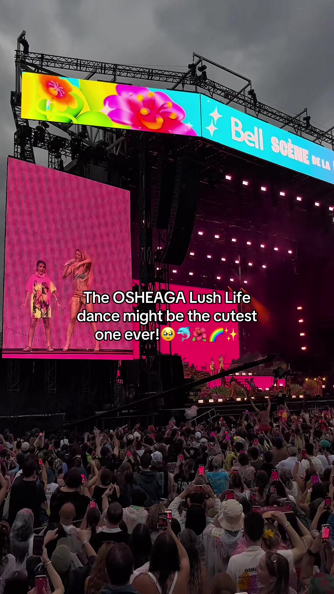 @Braeden O’Brien