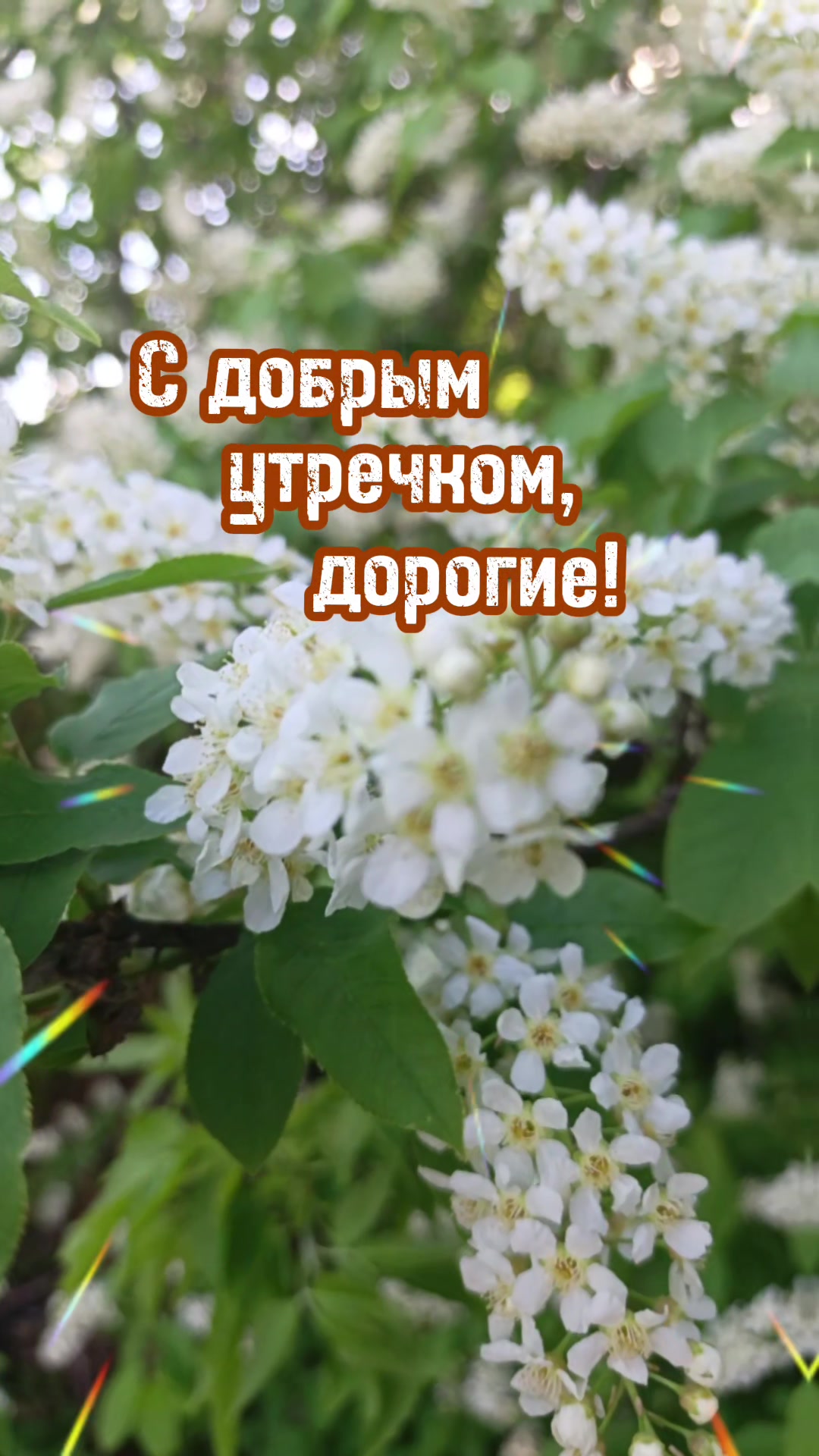 @ludmilaEfimova111людмила