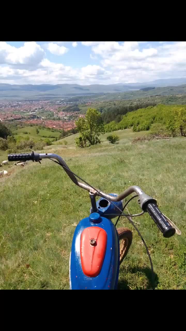 @aleksandar Stankovic