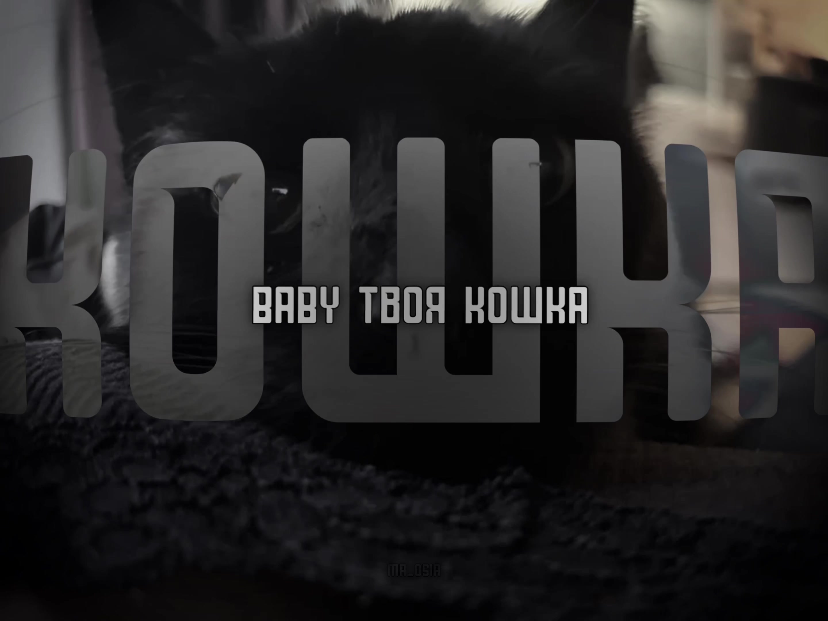 @маося✿*ﾟ︎