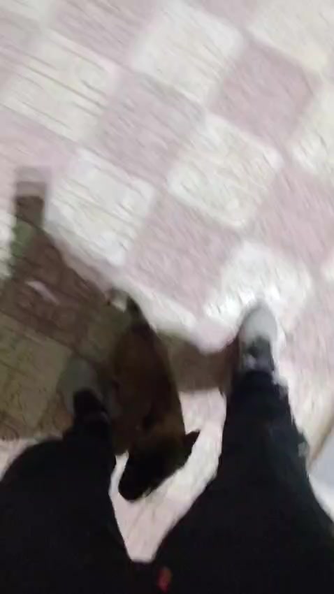 @Aldo🦍&pawla🦮