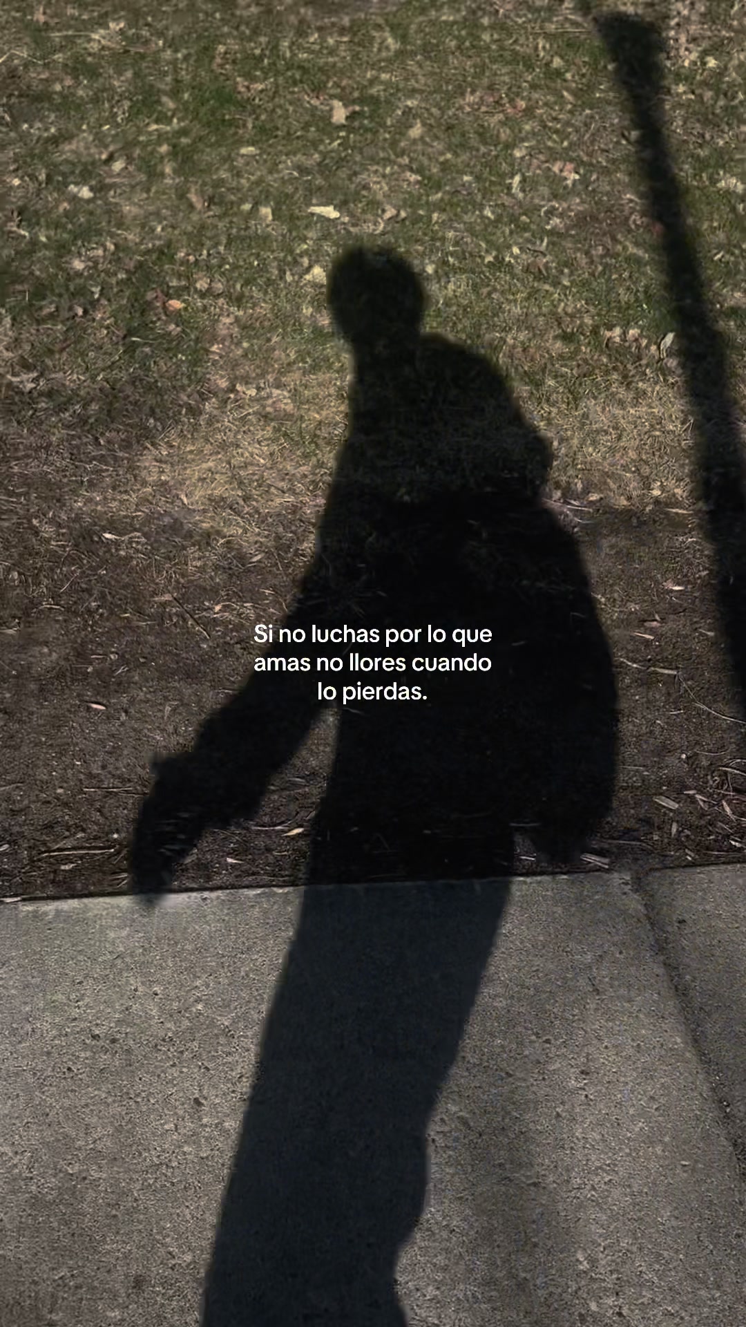 @Cxiss. 👋🏽