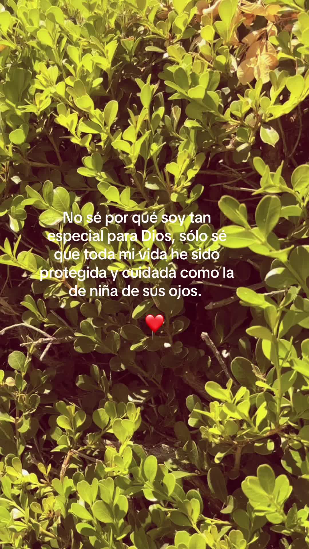 @🎶M&uacute;sicas👑Cristianas🎶