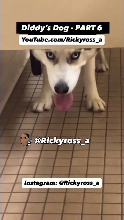 @Rickyross_a