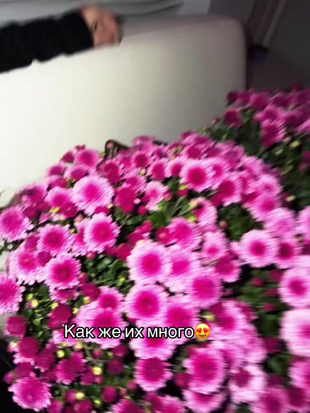 @IIIISSHHAA