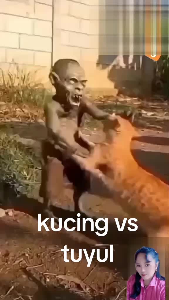 @arulalfan8
