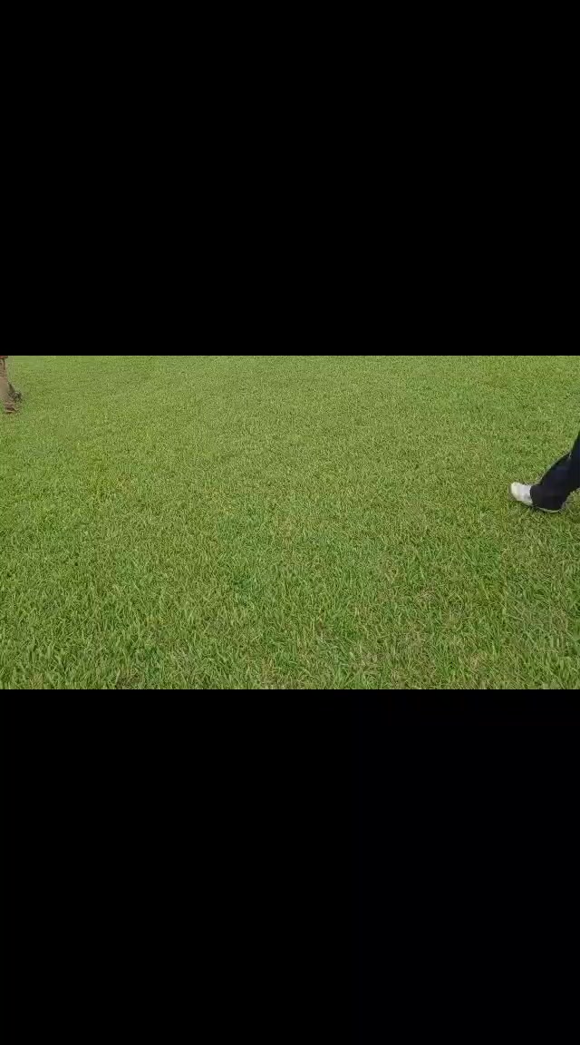 @OJUDOS